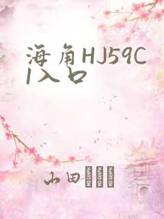 海角HJ59C1入口