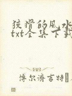 狡猾的风水相师txt全集下载