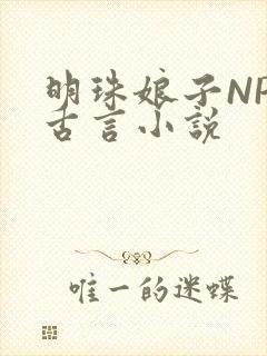 明珠娘子NPC古言小说