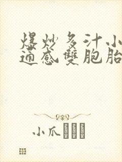 爆炒多汁小美人通感双胞胎燎锋