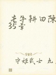 老牛耕田陈雪435章