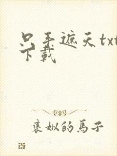 只手遮天txt下载