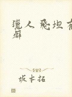 猎人 飞坦有洁癖