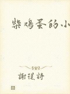 柴鸡蛋的小说
