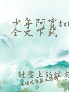 少年阿宾txt全文下载