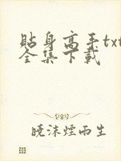 贴身高手txt全集下载