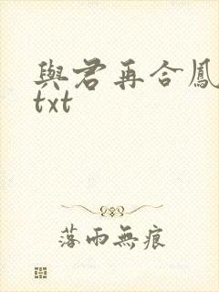 与君再合凤求凰txt