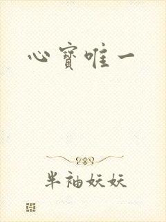 心宝唯一