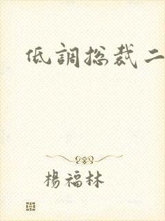 低调总裁二手妻