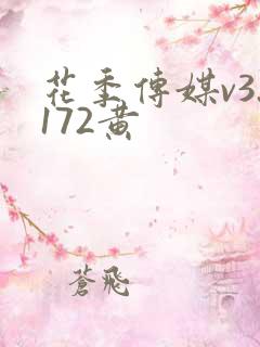 花季传媒v3.172黄