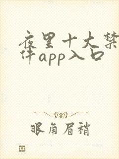 夜里十大禁用软件app入口