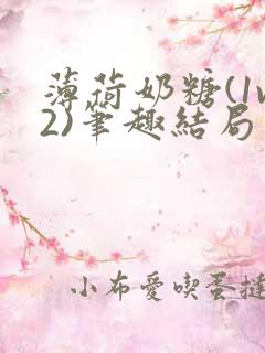 薄荷奶糖(1v2)笔趣结局