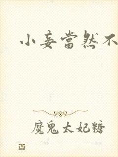 小妾当然不如妻