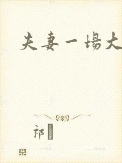 夫妻一场大结局