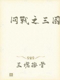 网战之三国霸业