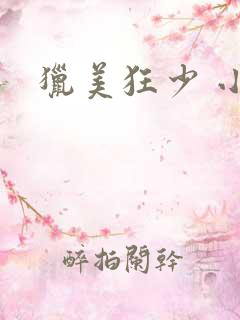 猎美狂少 小说