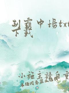 制霸中场txt下载