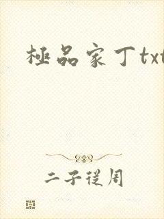 极品家丁txt