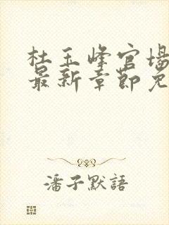 杜玉峰官场小说最新章节免费阅读