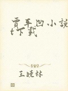 贾平凹小说txt下载