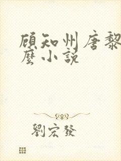 顾知州唐黎叫什么小说