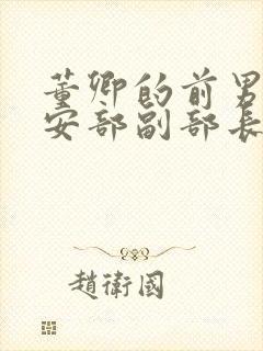 董卿的前男友公安部副部长