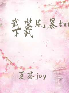 武装风暴txt下载