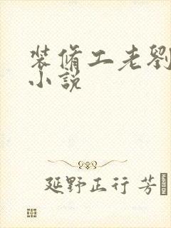 装修工老刘林雪小说