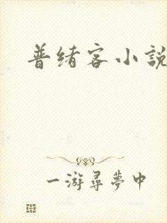 普绪客小说