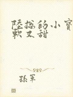 陆总的小宝贝又软又甜