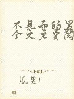 不见面的男朋友全文免费阅读