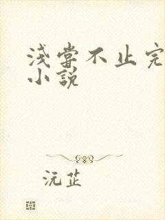 浅尝不止完整版小说