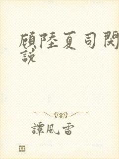 顾陆夏司闵郁小说