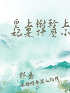 皇上树干上太子妃是什么小说