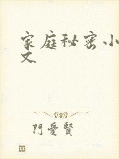 家庭秘密小说全文