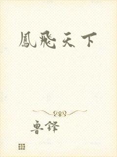 凤飞天下