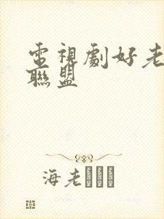 电视剧好老婆大联盟