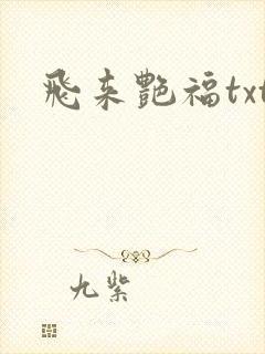 飞来艳福txt