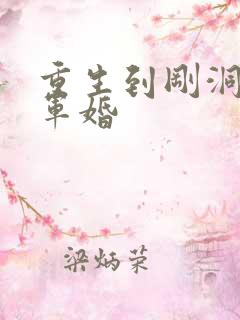 重生到刚洞房的军婚