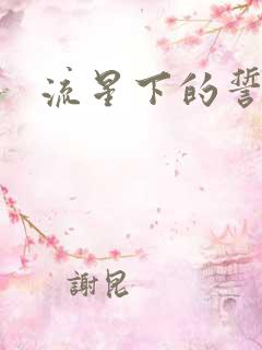 流星下的誓言