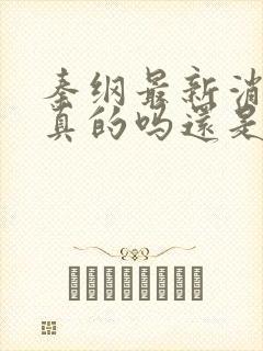 秦纲最新消息是真的吗还是假的