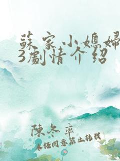 苏家小媳妇1v3剧情介绍