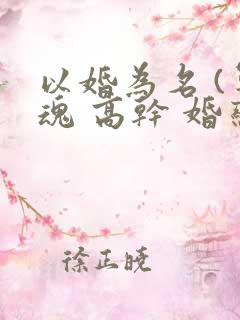 以婚为名 (军魂 高干 婚恋)