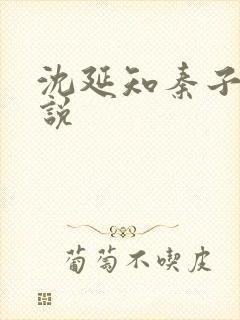 沈延知秦子卿小说