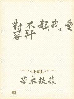 对不起我爱你慕容轩