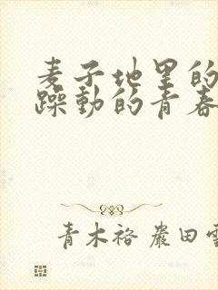 麦子地里的故事躁动的青春小说