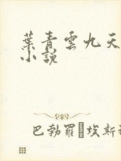 叶青云九天玄宗小说