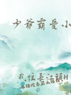 少爷霸爱小丫头