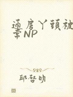 通房丫头被肉日常NP