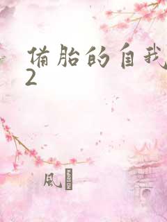 备胎的自我修养2